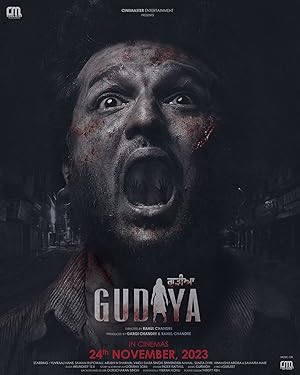 Gudiya (2023) Punjabi CHTV Movie Download & Watch Online HDrip